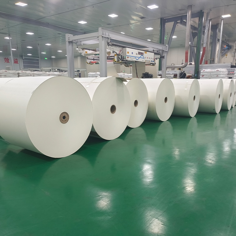 Giấy tráng cốc cuộn giấy PE